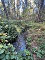  Waterleaf Lane - Photo 37
