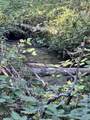  Waterleaf Lane - Photo 39
