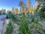  Waterleaf Lane - Photo 4