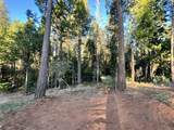  Waterleaf Lane - Photo 9