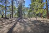 29297 Johnson Ranch Road - Photo 39