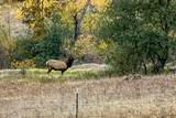 26602 Snider Ranch Road - Photo 7