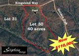 LOT 30 Kingsland Way - Photo 1