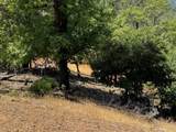  Little Doe Rdg - Photo 8