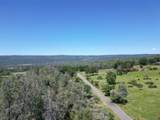21665 Manton School Road - Photo 12