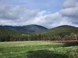 1827 Ball Mountain Little Shasta Road - Photo 94