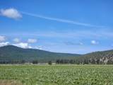 1827 Ball Mountain Little Shasta Road - Photo 98