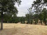 19870 Moose Way - Photo 12