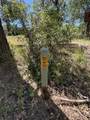 10473 Blue Mountain Ranch Road - Photo 16
