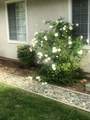 3837 Appalachian Way - Photo 12