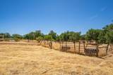 19307 Davidson Lane - Photo 53