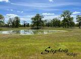 322 acres Kingsland Way - Photo 13