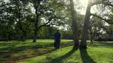 006 Old Oregon Trail - Photo 5