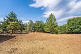 16450 Buzzard Roost Road - Photo 43