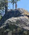 61 Chief George - Photo 12