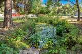 61 Chief George - Photo 58