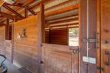 15775 Red Bank Road - Photo 57