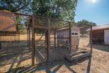15775 Red Bank Road - Photo 63