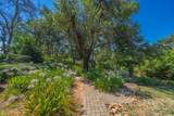 15576 Mountain Shadows Drive - Photo 74