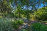 15576 Mountain Shadows Drive - Photo 75