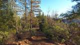144 acres Gilman Road - Photo 23