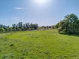 12060 Lazy Lane - Photo 13