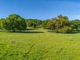 12060 Lazy Lane - Photo 14