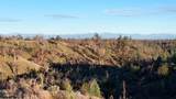 14550 Bradley Ridge Road - Photo 40