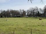10241 Deschutes Road - Photo 6