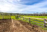 11847 Oak Run Road - Photo 42