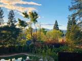 1688 El Capitan Drive - Photo 55