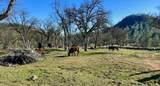 9390 Platina Road - Photo 14