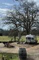 9390 Platina Road - Photo 42