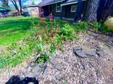 230 Myrtle Street - Photo 2