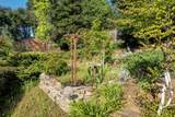 1773 Soda Springs Circle - Photo 42