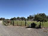 22273 Lancelot Lane - Photo 9