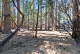 7363 Shasta Forest Drive - Photo 29