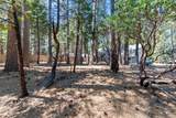7363 Shasta Forest Drive - Photo 30