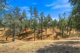 13524 Woodman Lane - Photo 16