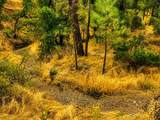 17275 Quail Ridge Road - Photo 1