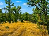 17275 Quail Ridge Road - Photo 5