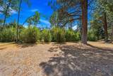 12755 Clearbrook Drive - Photo 23