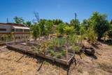 2609 Albert Road - Photo 23