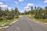  Lot 7 Mini Mesa Court - Photo 13