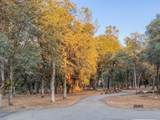 14150 Bear Mountain Road - Photo 12