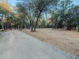14150 Bear Mountain Road - Photo 19