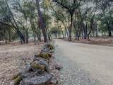 14150 Bear Mountain Road - Photo 20