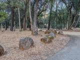 14150 Bear Mountain Road - Photo 21