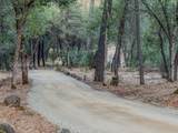 14150 Bear Mountain Road - Photo 22