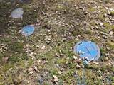 160 Trinco Road - Photo 43